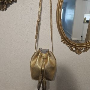 J.Crew small bucket bag gold tone NWT